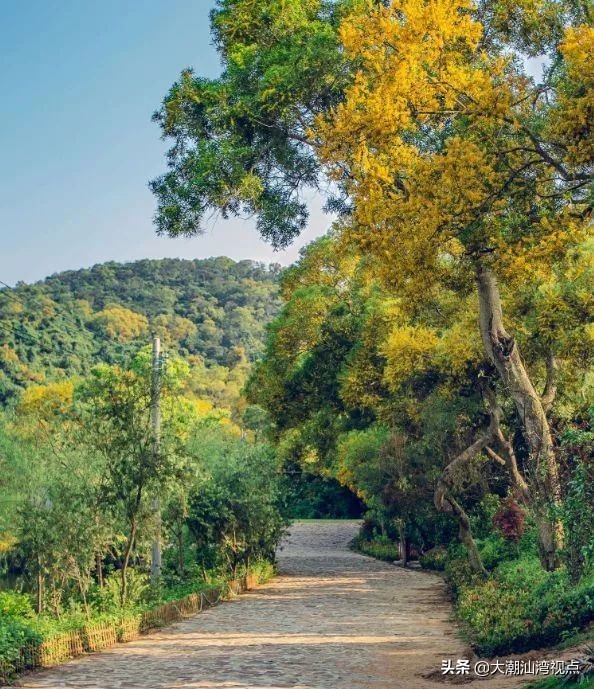 汕头南澳第一高峰,汕头能爬最高的山