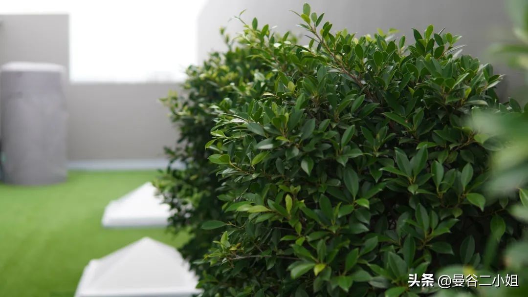 泰国曼谷顶级富人区别墅,泰国定居别墅真实价格