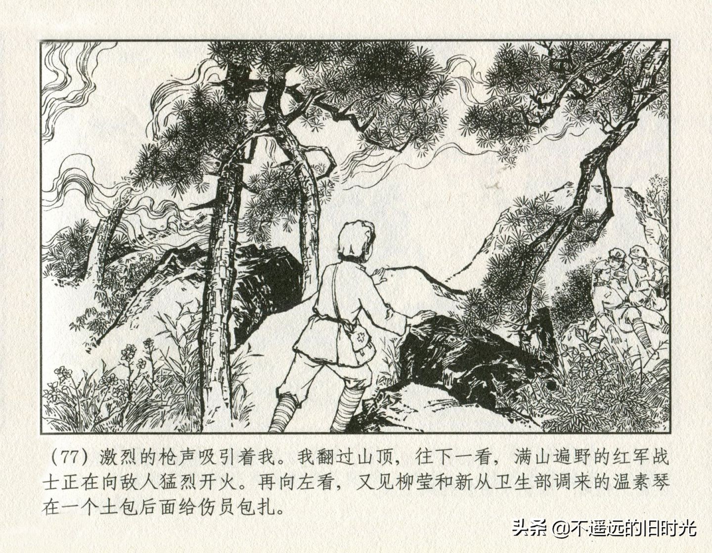 朝阳花-上海人民美术出版社1981初版2016再版陆成法陆小弟绘