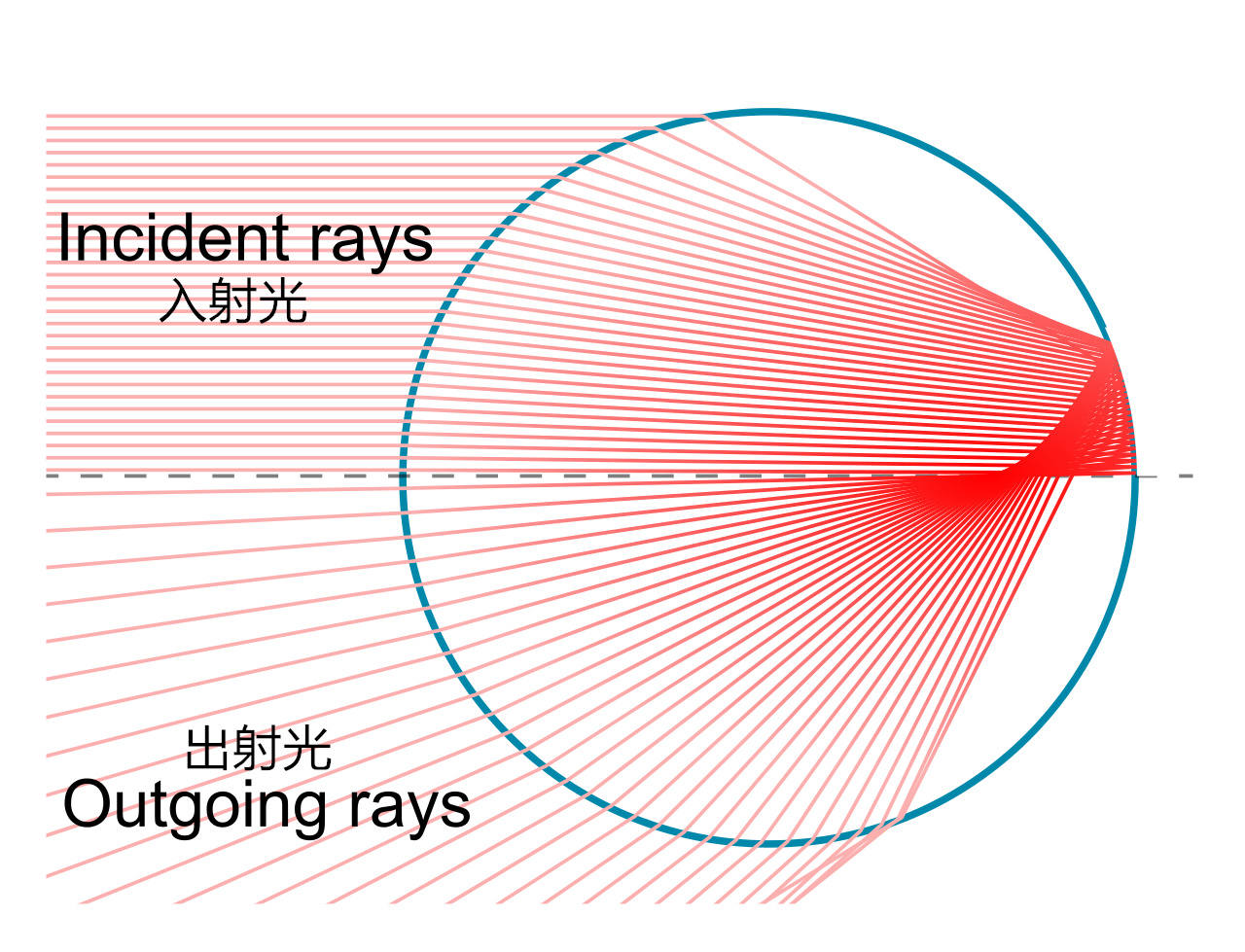 深圳灯光秀暂停时间表,深圳灯光秀国庆恢复了吗