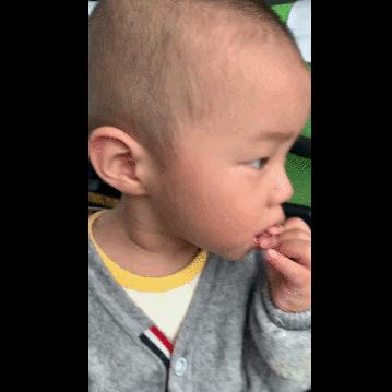 带宝宝到日本旅游要注意什么,日本旅游带娃攻略