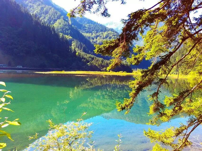 如何真正走出原生家庭的阴影,都挺好解析原生家庭矛盾