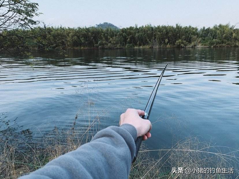 钓浮一般离底多深,钓底钓浮的正确方法与技巧