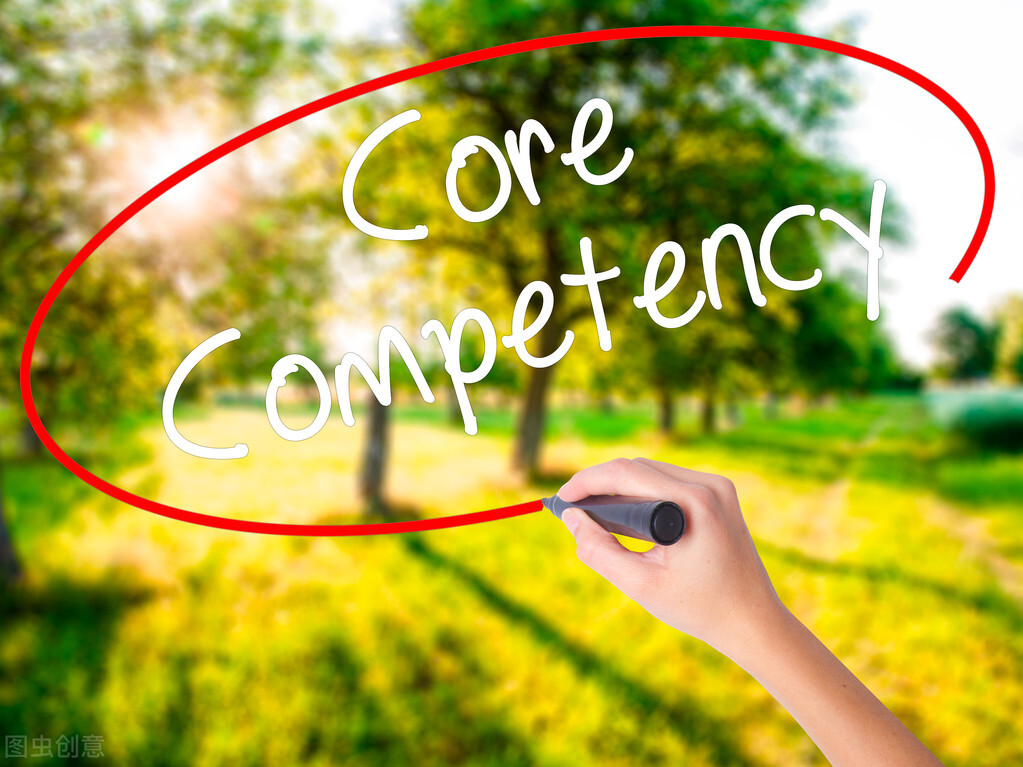 “核心素养”概念的混沌与厘定