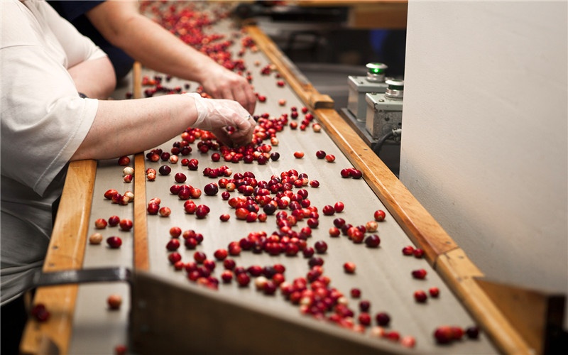 投资小型加工厂什么项目好,10万投资什么小加工厂合适