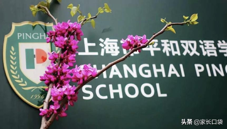 民办小学摇号真的只靠运气吗,今年摇号民办热度下降了吗