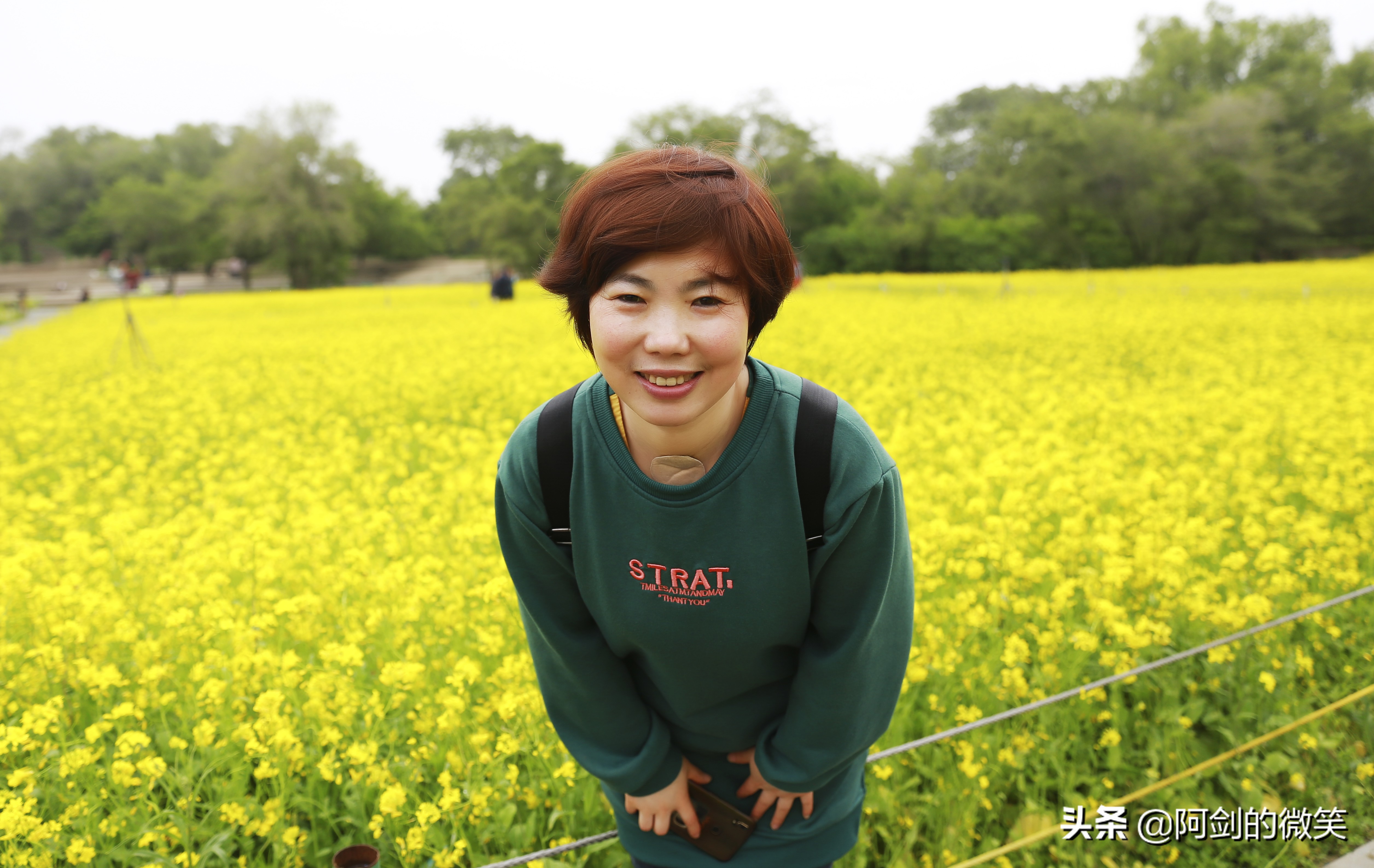 沈阳十一假期哪里有花海,沈阳玫瑰小镇温泉花海两日游