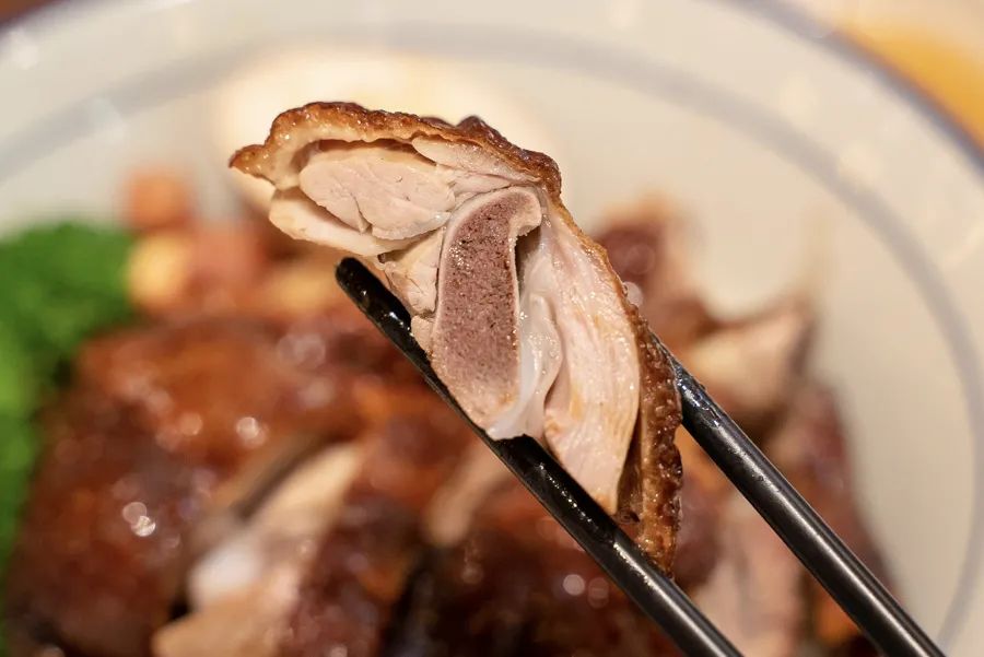 魔都粉鸭哪家好吃,烧鸭油鸡饭哪个好吃