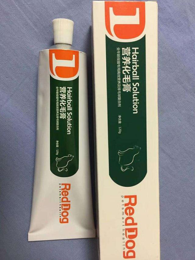 养宠物必备的10件东西,怎么养宠物最省钱的方法