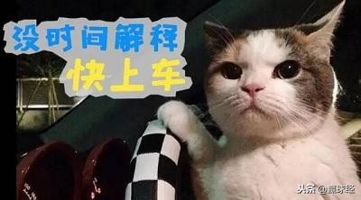 赢球解答：*率赔**之殇，1.4*率赔**下的保值空间