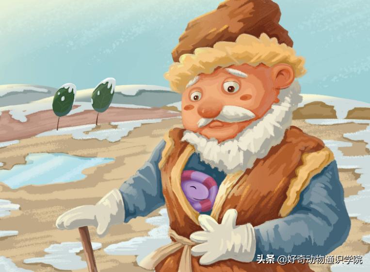 冷血动物怎么维持体温,冷血动物是怎么形成的