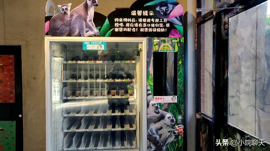 北京大兴野生动物园游玩推荐攻略,北京大兴野生动物园最佳游览路线