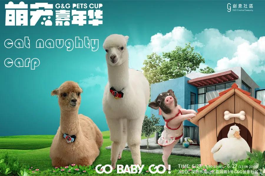 爱宠大作战纪录片,爱宠大作战一口气看完