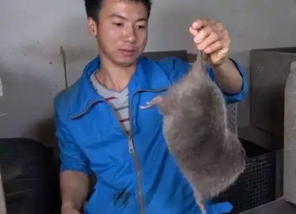 看了好多2018“盘点”，这几个最值得一读