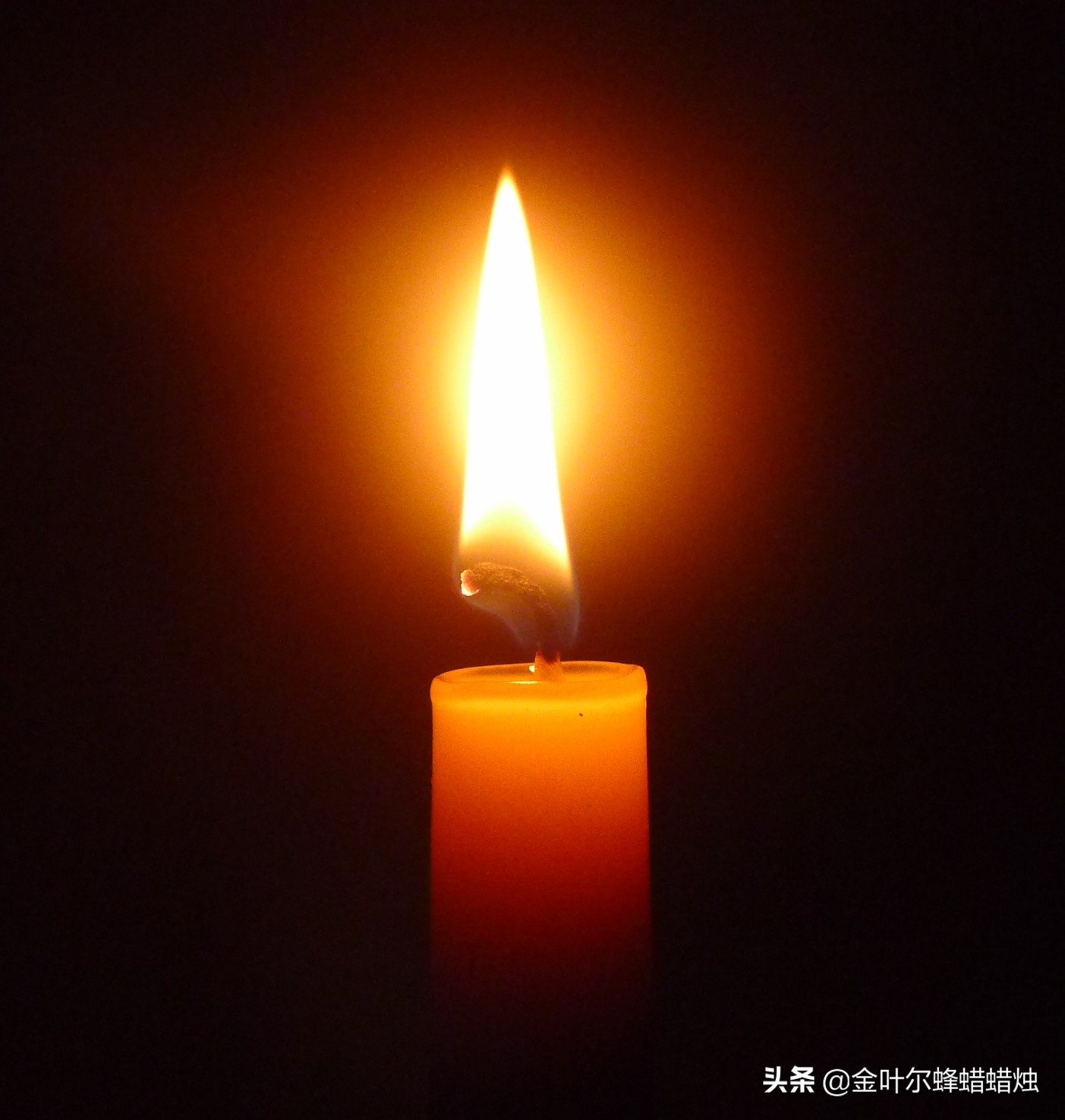 蜂蜡和蜡烛什么区别,蜂蜡蜡烛和石蜡蜡烛