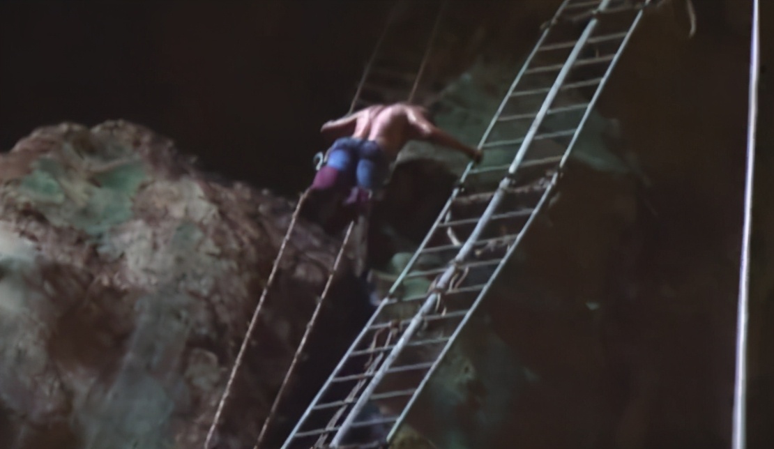 马来西亚超赚钱的工作，采金丝雀燕窝，一周能赚1000万