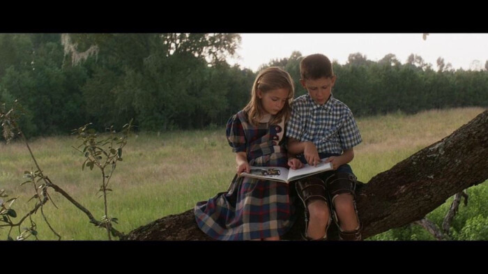 美国电影阿甘正传解析,对电影阿甘正传的文化解读