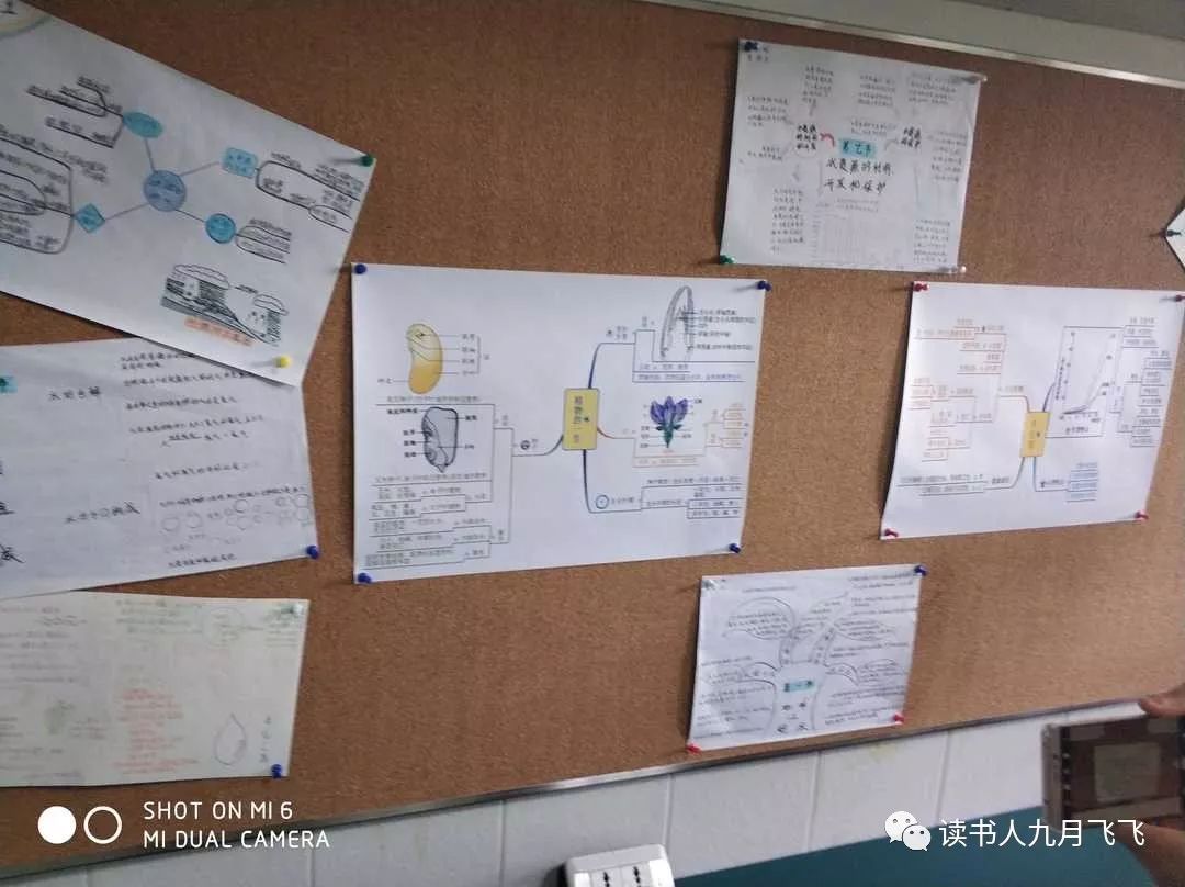 杭州嘉绿苑中学录取率,杭州嘉绿苑中学招生