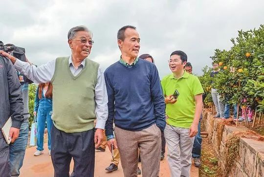 为什么大连发生宝马撞车事件，我却想到了褚时健？