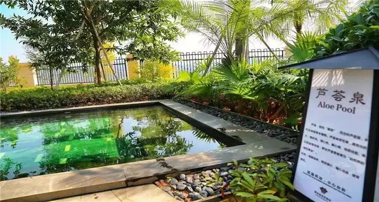 清远温泉夏天,清远最好的三个温泉