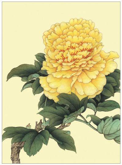 工笔牡丹勾线画法,工笔牡丹十二品设色步骤