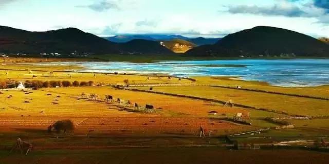 六月我们一起去旅行,九月带你去旅行