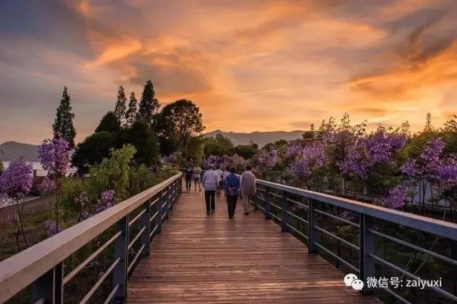 云南适合深秋游玩的地方,云南的秋天适合去哪些景点