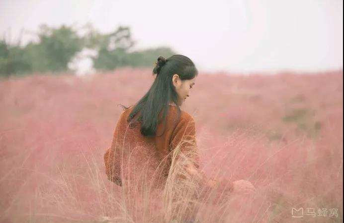 成都景点一日游12月,成都一日游景点推荐五一