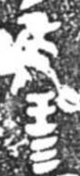 甲骨卜辞的意思,甲骨卜辞的内容