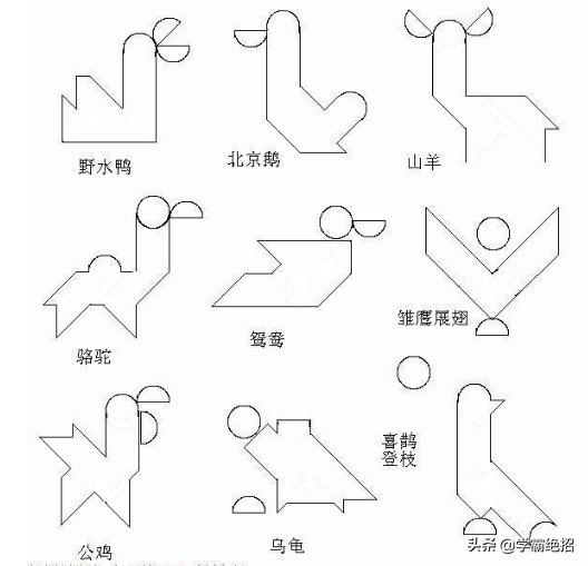 七巧板数学必考题,七巧板学霸题库