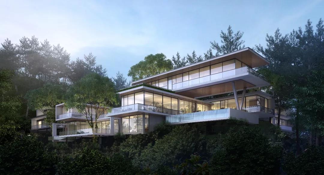 绿城桃花源的特点,绿城桃花源未来山