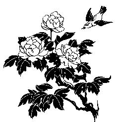 日常礼数,人生礼数有哪些