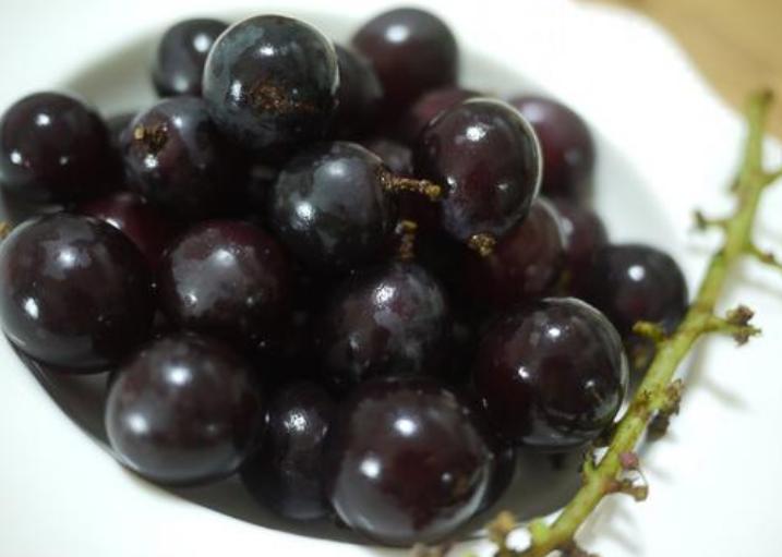 买葡萄应该尝哪个位置,买葡萄最忌讳什么