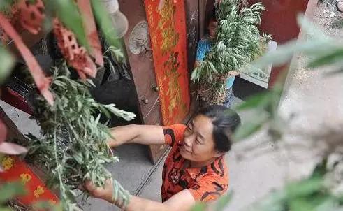 除蚊子的小妙招有哪些呢,每家每户备上一个蚊子克星