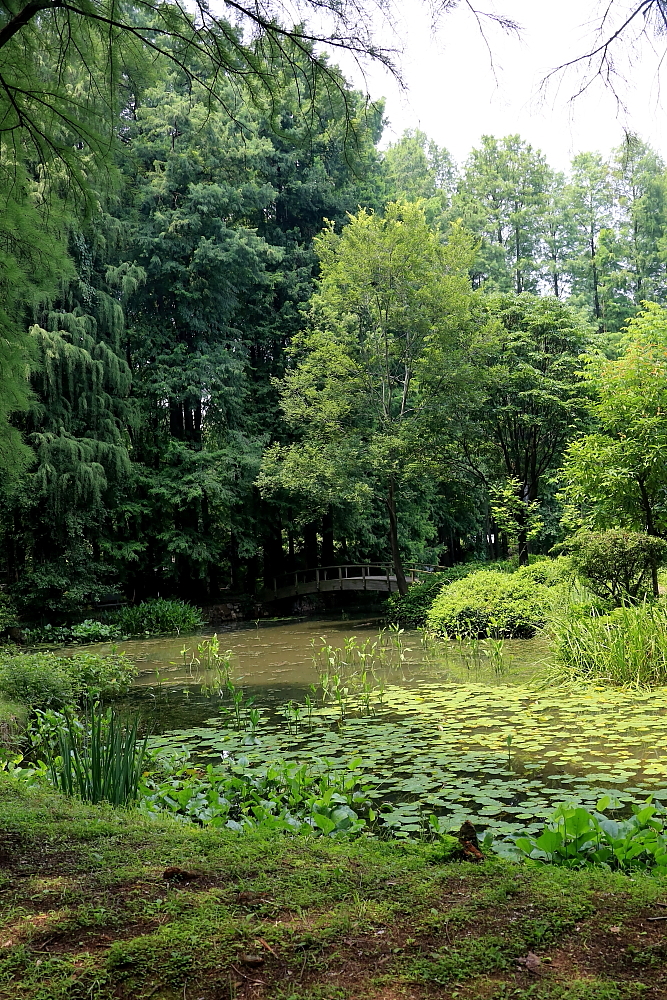 红河谷半音阶口琴独奏,12孔半音阶口琴演奏北国风光