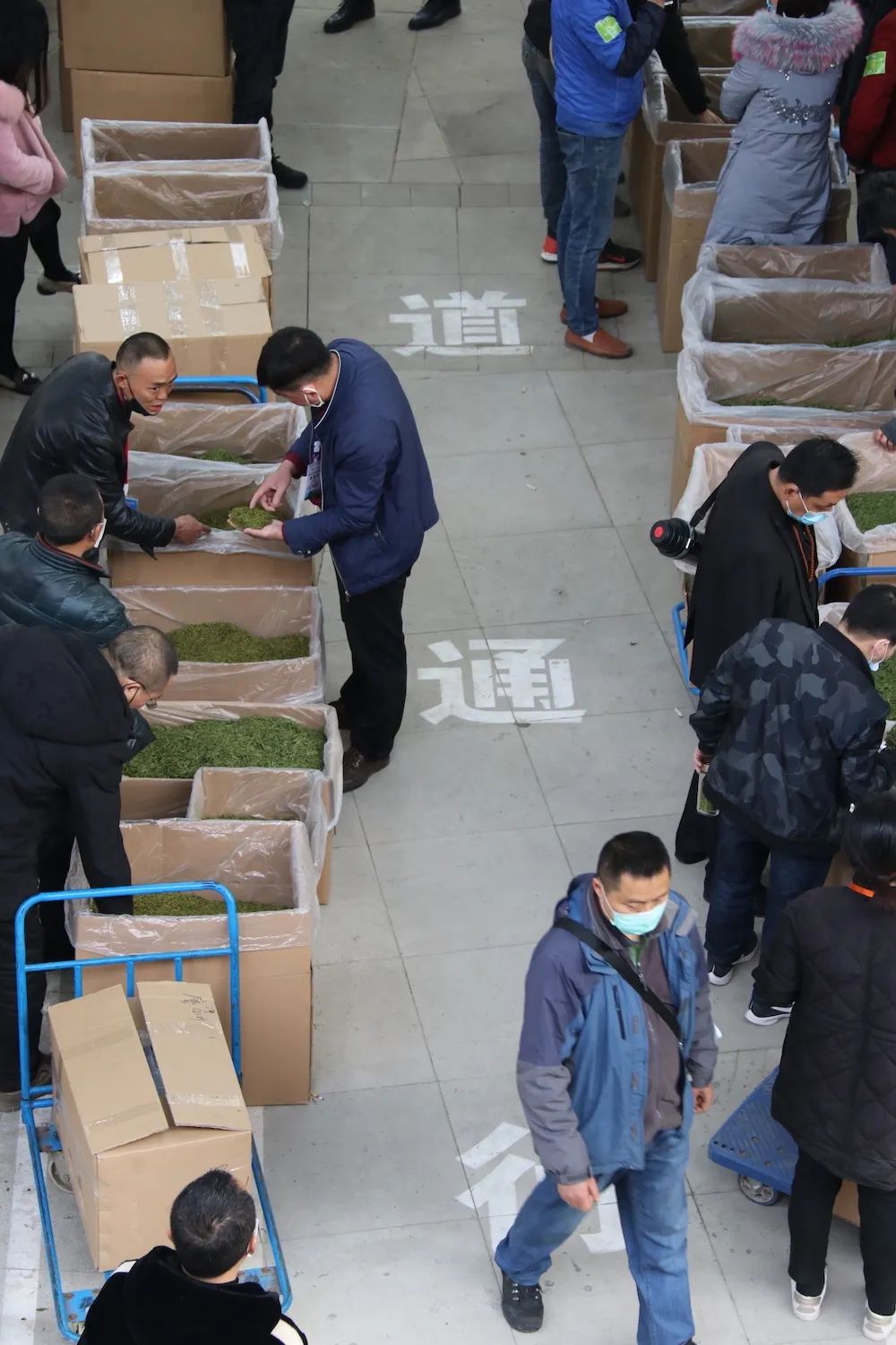 早上6点，去蒙顶山买茶是一种什么体验？