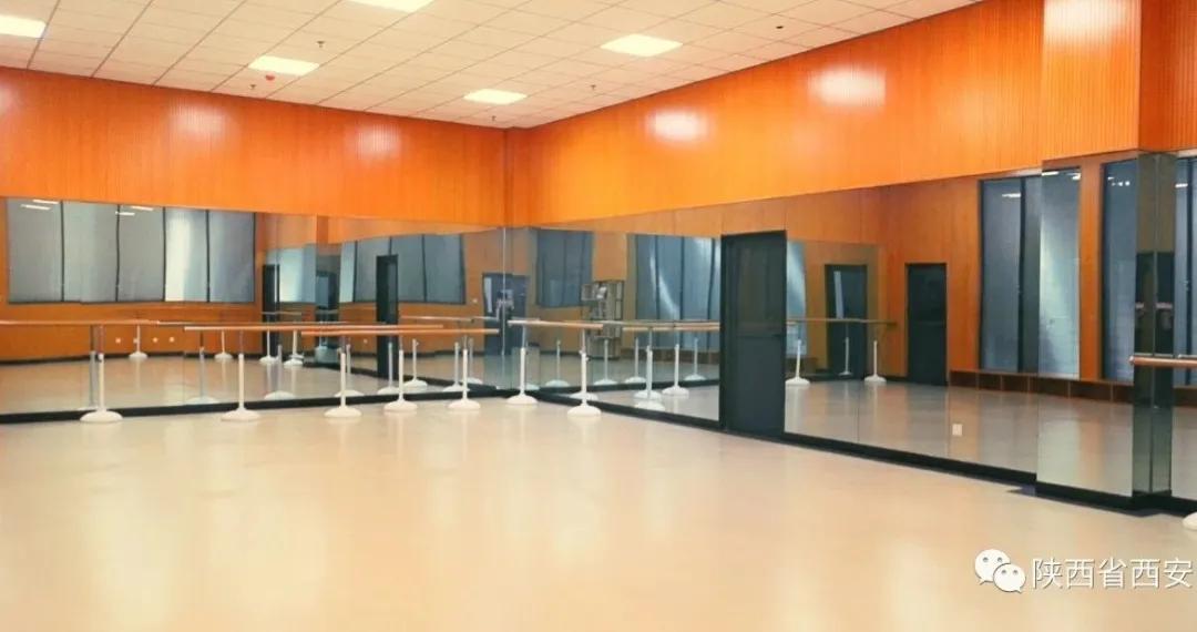 小升初体育特长生西安,西安交大体育特长生分数线