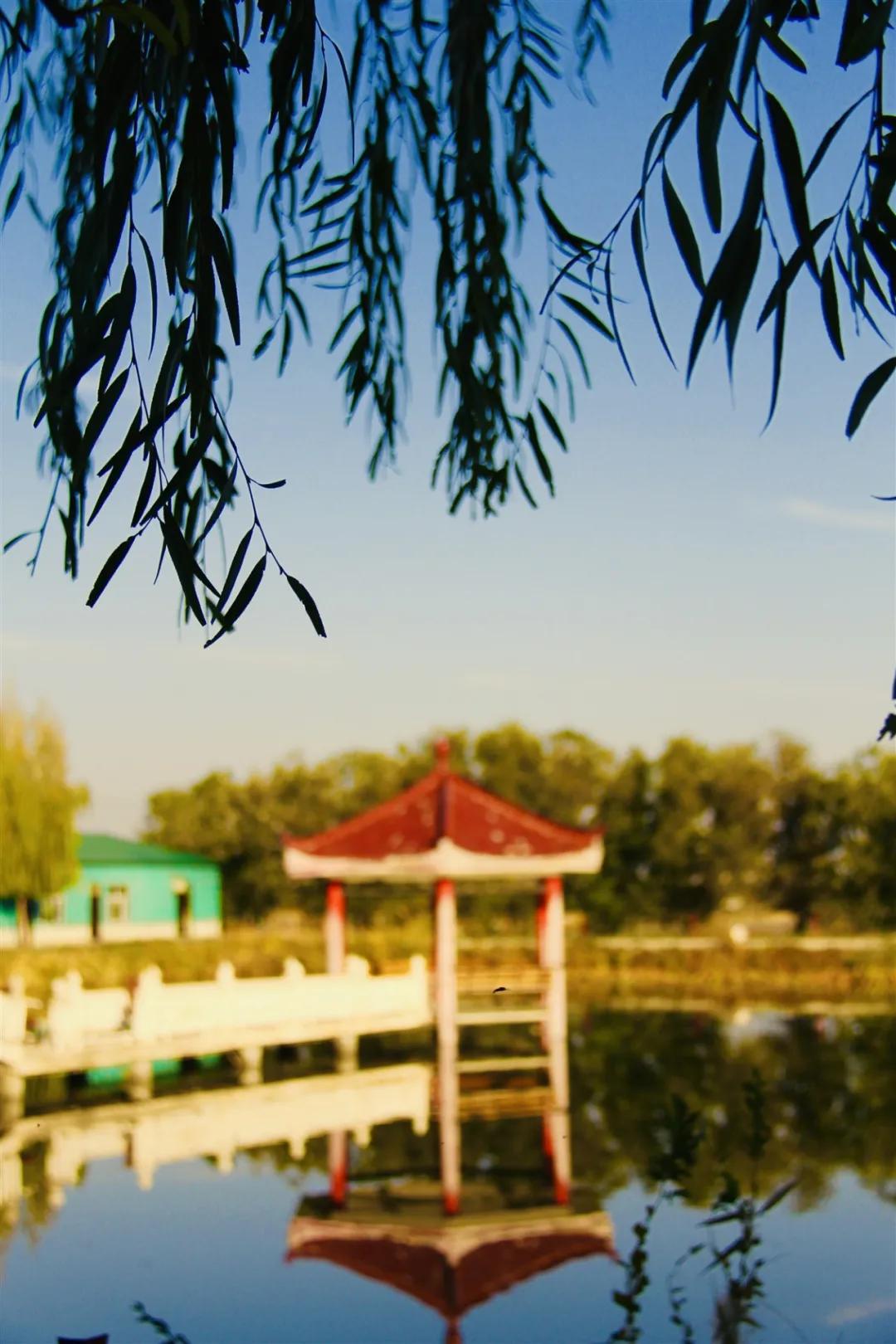 天气热去新疆避暑,塔城冬季游玩