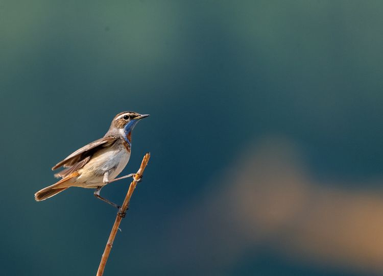 情人岛拍摄地点,情人岛航拍视频