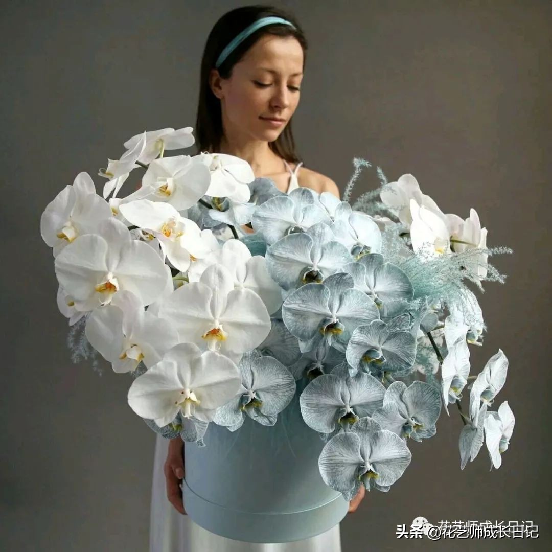 除了康乃馨以外送给妈妈什么花,母亲节送妈妈一束康乃馨