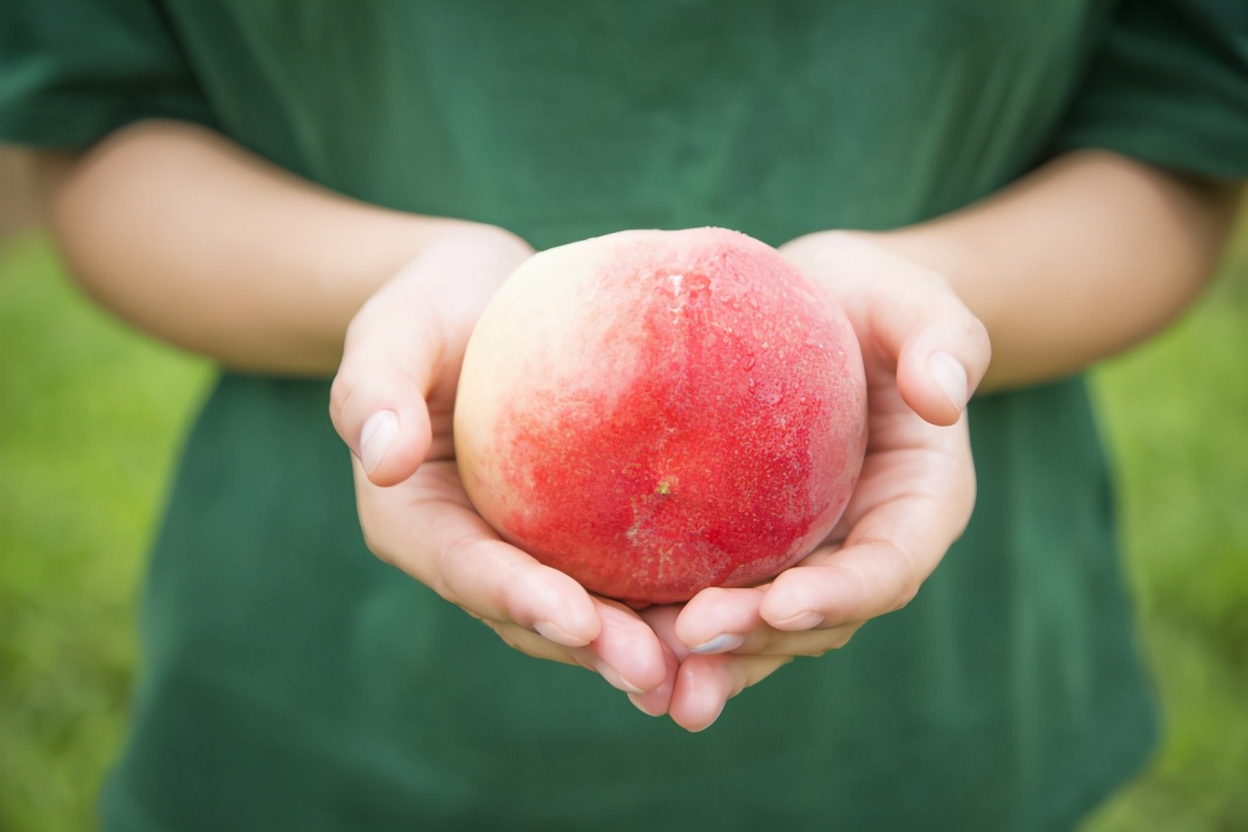 叮！你有一份夏季吃桃指南请查收