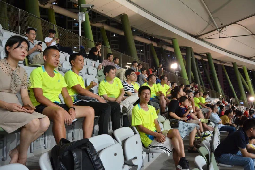 派迪茵体育直播,派迪茵体育训练套装