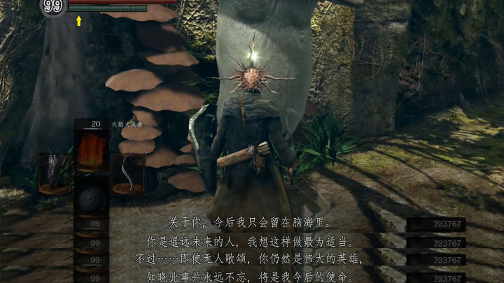 黑暗之魂3法兰不死队剧情,法兰不死队