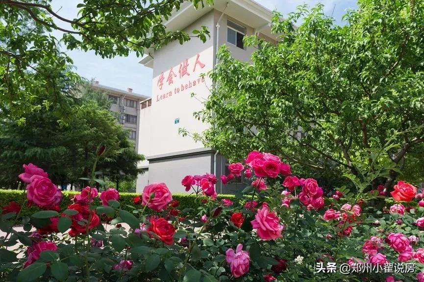 郑州普高率,郑州普高一本率