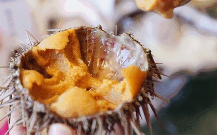 别“吃瓜”,吃海鲜!吃货们做好“时间管理”,封海将至!