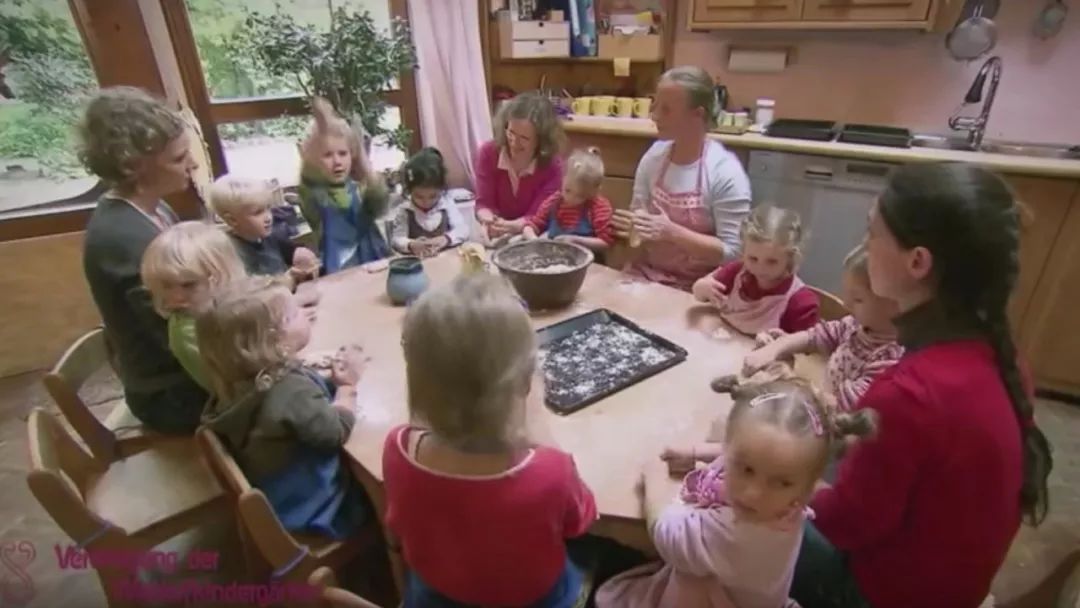 在中国被追捧的华德福，在德国却不受待见？