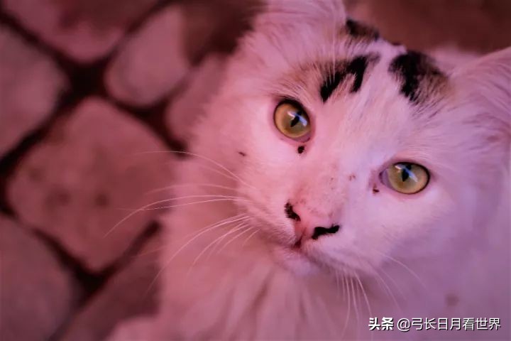 那又怎样，先干了这杯酒