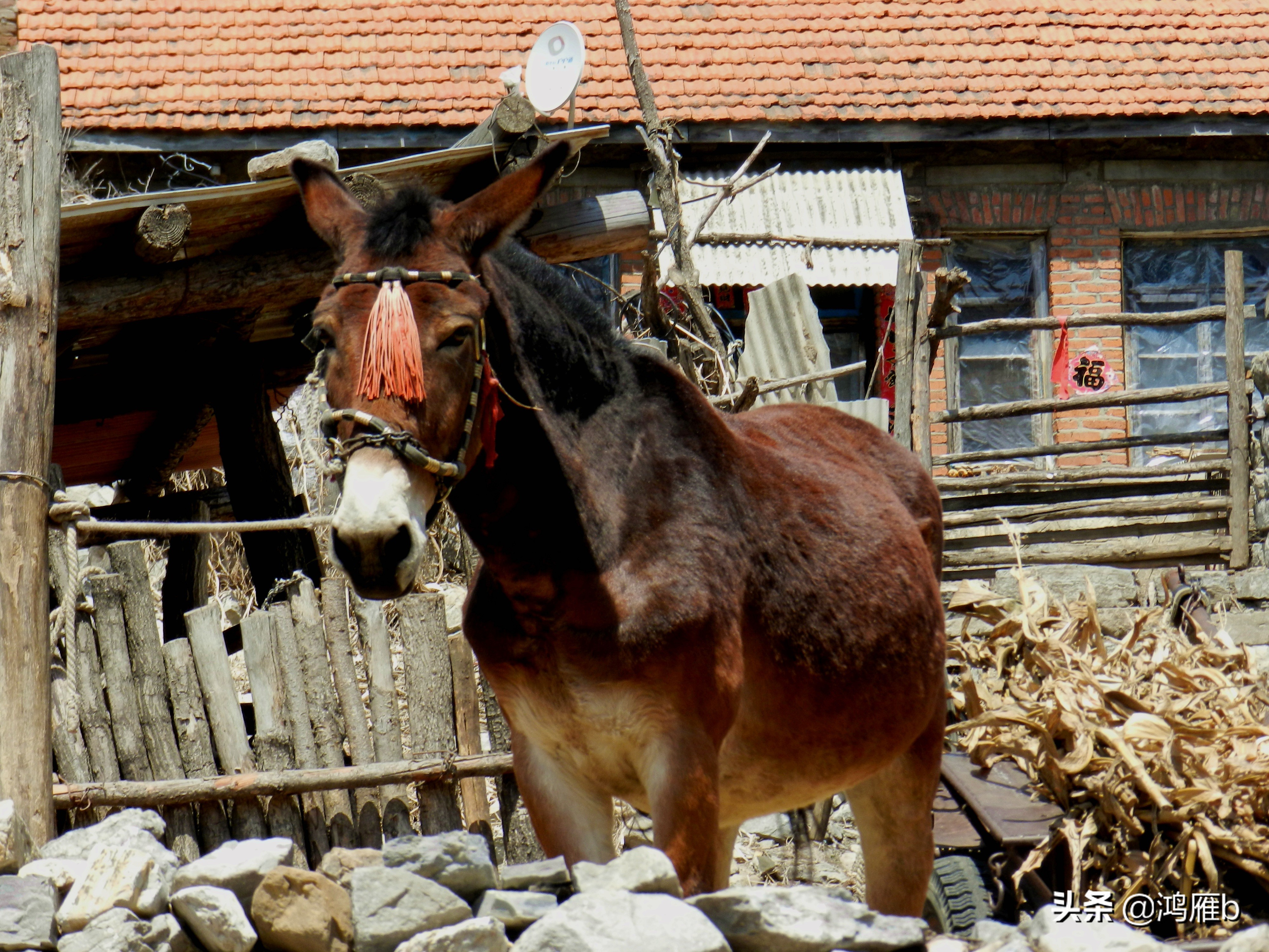 本溪小众秘境,本溪神秘山村
