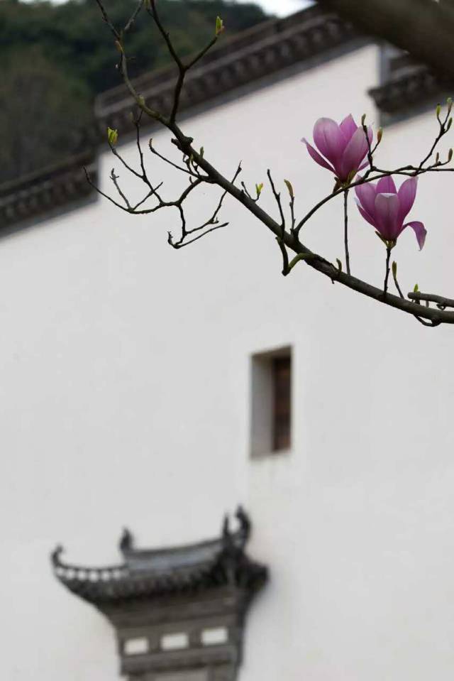 慢生活早就被古人写进诗词里了,你向往的慢生活古诗词