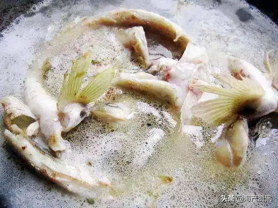 黄渤海海鲜种类,黄渤海渔场海鲜价格